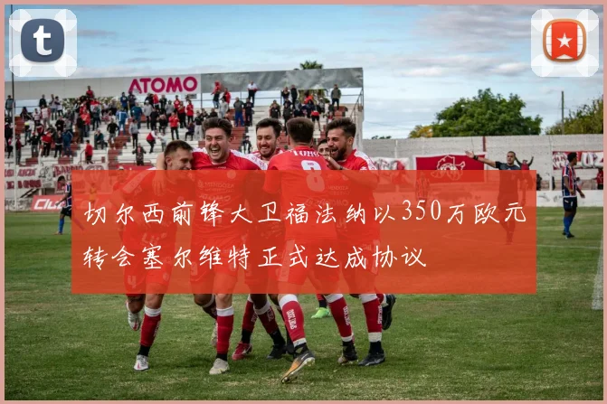 切尔西前锋大卫福法纳以350万欧元转会塞尔维特正式达成协议